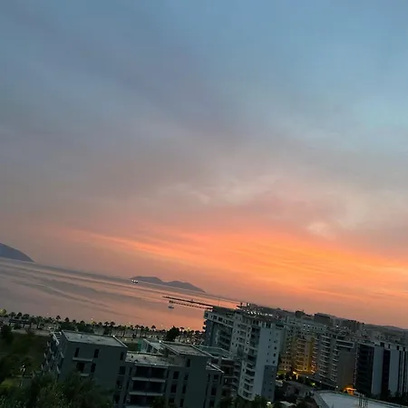 Home Avlonya